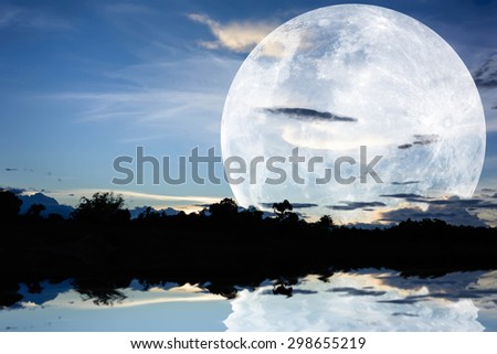 silhouette of forest with moon on sky background twilight time .Elements of this image furnished by NASA