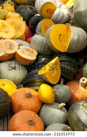 variety of pumpkins and cat on table
