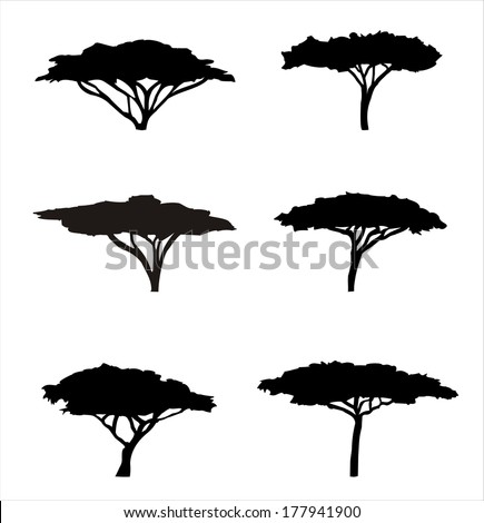 Six acacia silhouettes Six acacia silhouettes