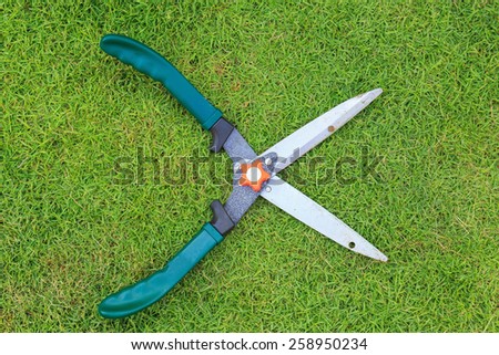 gardening scissors on green grass