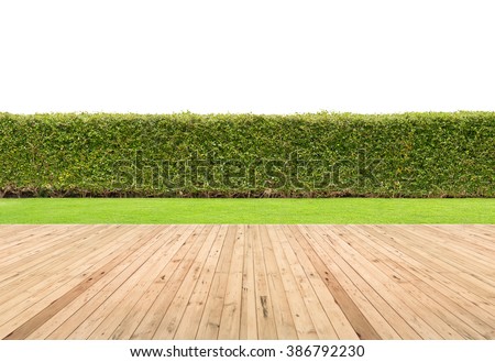 Lawn and wooden floor with hedge isolated.