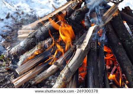 Beautiful fire flames - burning in the wood in the winter.