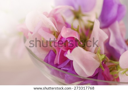 Bouquet of beautiful sweet peas flowers, a studio photo