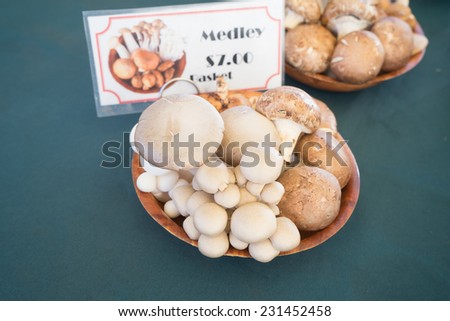 Mushroom assortment at the local farmers market in November