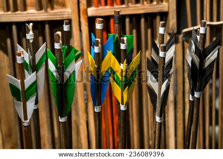 Colorful feathers of the arrow in the quiver that cost