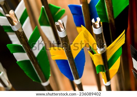 Colorful feathers of the arrow in the quiver that cost