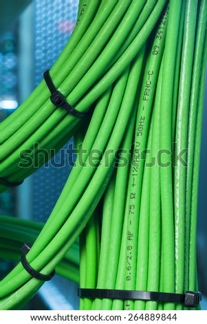 Green network wires strapped into a bun Binder