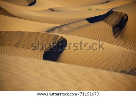 Sahara desert sand dunes in daylight with shadows. Concept for holiday and adventure traveling.