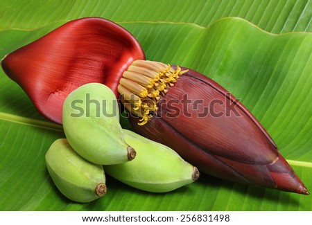 Banana flower eaten as delicious vegetable