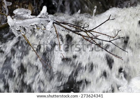 Ice on branches making funny sculptures, photo from North of Sweden.