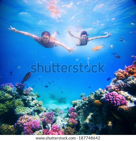 Happy young couple diving in super clear tropical sea under the coral reef