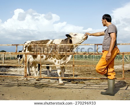Farmer and cows