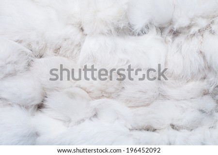 Closeup texture of white fur