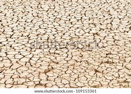 Cracked earth - because of global warming or just a dry spell?