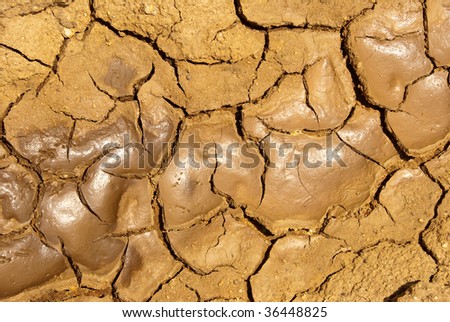 A lake bed in the process of drying up