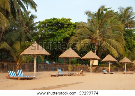 Rows of umbrellas and beach beds in a resort