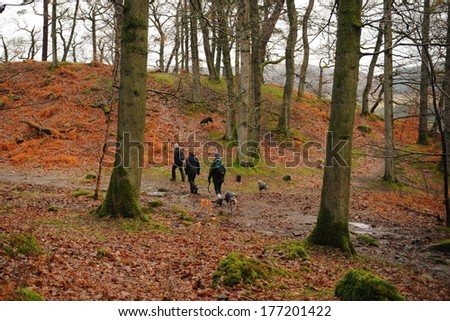 Three people and five dogs walking in the woods around the shore of Ullswater in the Lake District