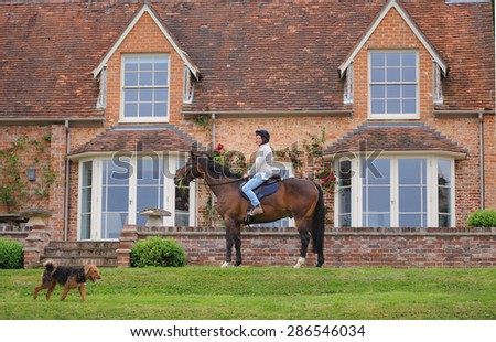 Female Sitting on a Chestnut Horse with an Airedale Dog, Cold Ash Farm, Berkshire, England, UK