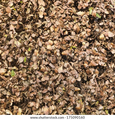 background of dried out leaves with some green ones left