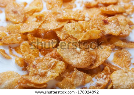 Tasty golden corn flakes with nuts in milk