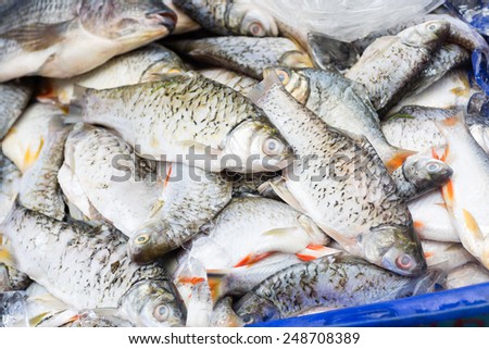 Pile of fresh fish in a cart