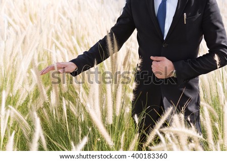 Businessman standing in a field and hand touching the tall grass.
