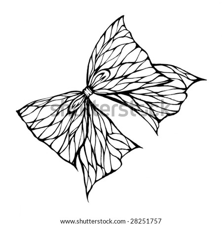 Butterfly Wing Drawing