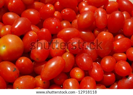 fresh grape tomatoes