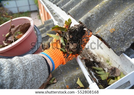 Rain Gutter Cleaning from Leaves in Autumn with hand. Roof Gutter Cleaning Tips. Clean Your Gutters Before They Clean Out Your Wallet. Gutter Cleaning.