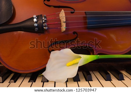 A white lily sits next to a violin on a piano.