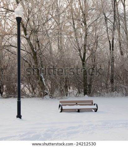 A park bench and light post along a snow covered path.