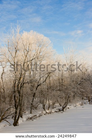 Frost covered trees line the banks of a frozen river.