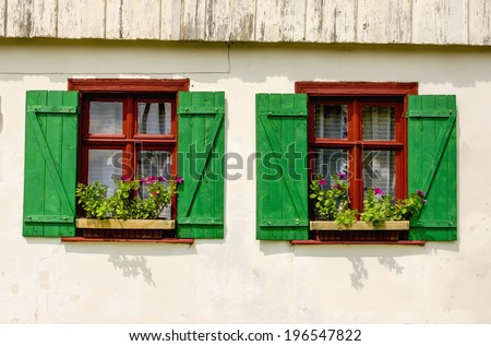 Two brown windows with green shutters and purple flowers in wooden white rural house, Europe