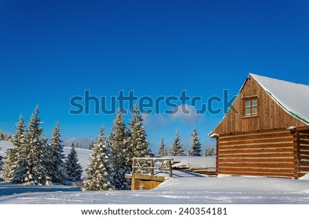 Wooden house in winter landscape with evergreen trees, Carpathian mountains, Poland