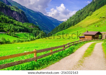 Country road leading to the alpine houses, in the background of green meadows and high peaks of the Alps, Zillertal, Austria