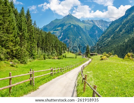 Peaceful road surrounded by wooden fence and green meadows in Austrian Alps, Zillertal Area, Mayerhofen - Insbruck, Austria