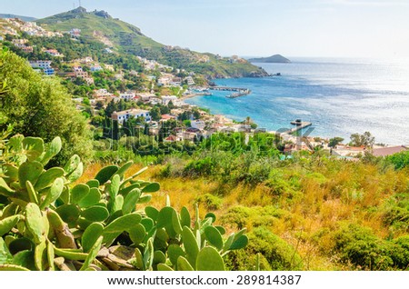 Cactuses and bay with typical Greek houses on the coast, Greek Islands, Aegean Sea