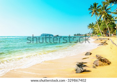 Beautiful exotic beach with golden sand and tall palm trees against the azure sea and blue sky, Caribbean Islands