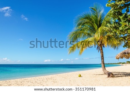 Beautiful exotic Caribbean beach of golden sand, coconut palm trees against the azure waters of Caribbean Sea , Cuba, Caribbean Islands, Central America