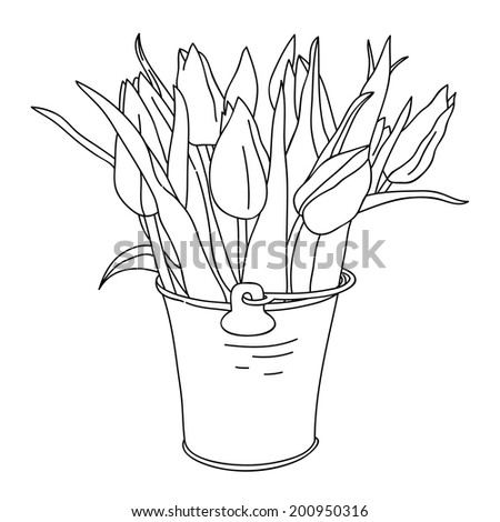 Vector hand drawn flowers tulips in bucket