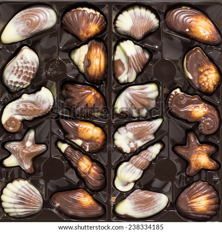 Belgian chocolate pralines set in box. White, dark, and milk chocolates.