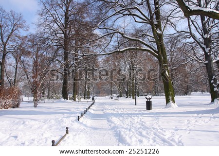 Winter In The Park. Winter in the Municipal South Park in Wroclaw 2009
