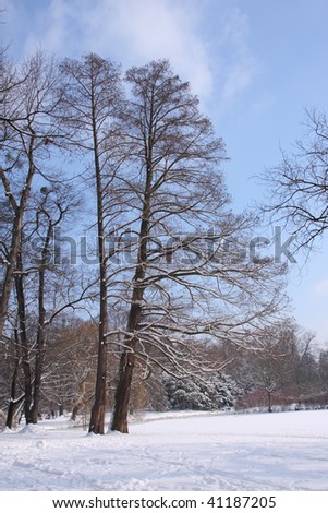 Winter In The Park. Winter in the Municipal South Park in Wroclaw