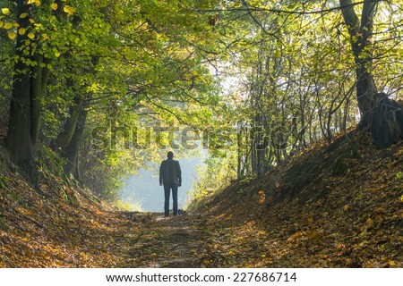 A man walking along a forest path in autumn
