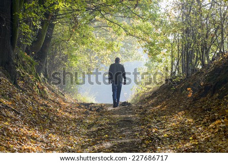 A alone man walking along a forest path in autumn