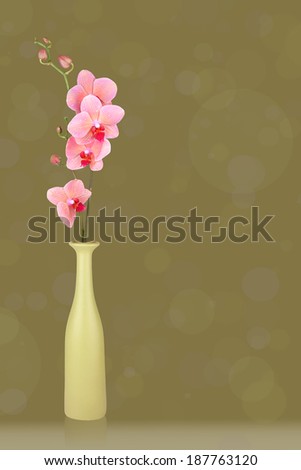 Pink Orchid In Vase Isolated