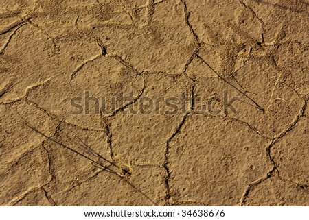 A background of dry, dusty, cracked, mud