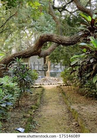 Nature\'s eye. Path in the cemetery of Kolkata.