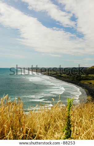 Rustic Murawai Surf Beach, West Coast, North Island New Zealand (Lifestyle /Tourism) (Vertical)
