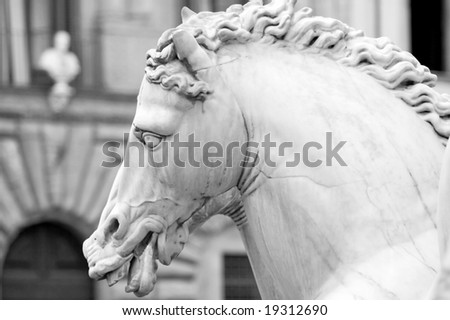 Horse statue Florence Tuscany Piazza della Signoria black white